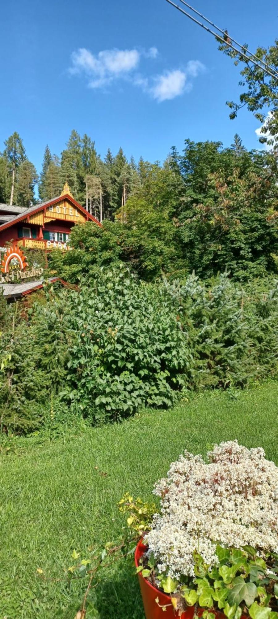 Parkhotel Sole Paradiso San Candido Kültér fotó